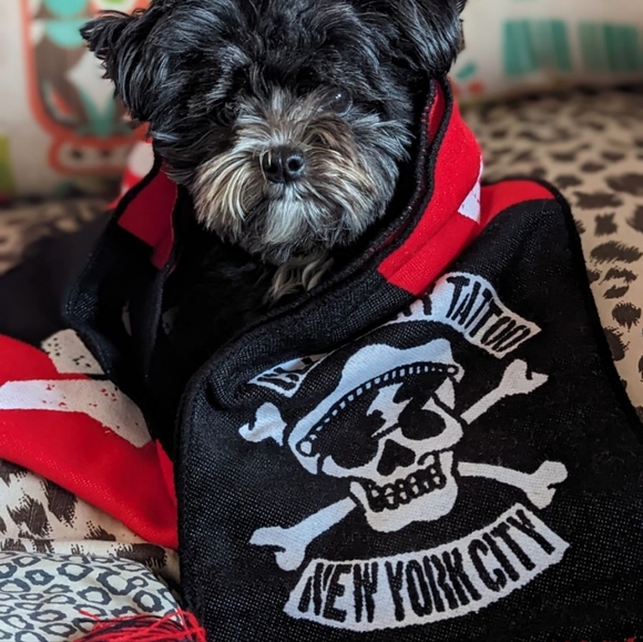 Clash City Tattoo NYC knitted scarf - Picture 2 of 3
